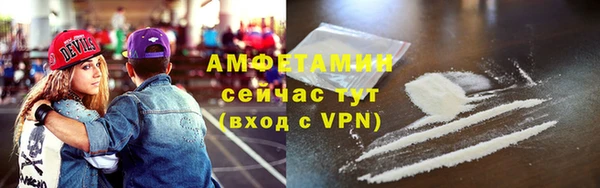 ПСИЛОЦИБИНОВЫЕ ГРИБЫ Бородино